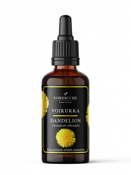 Dandelion 1:3 Taraxacum officinale