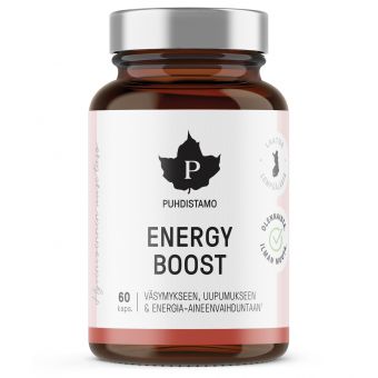 EnergyBoost, 60 kaps. 